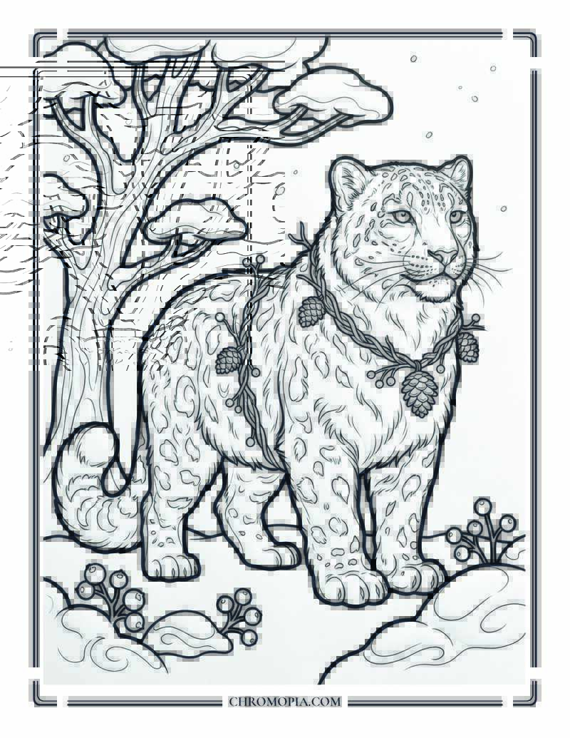 Peaceful Snow Leopard Stillness Coloring Page