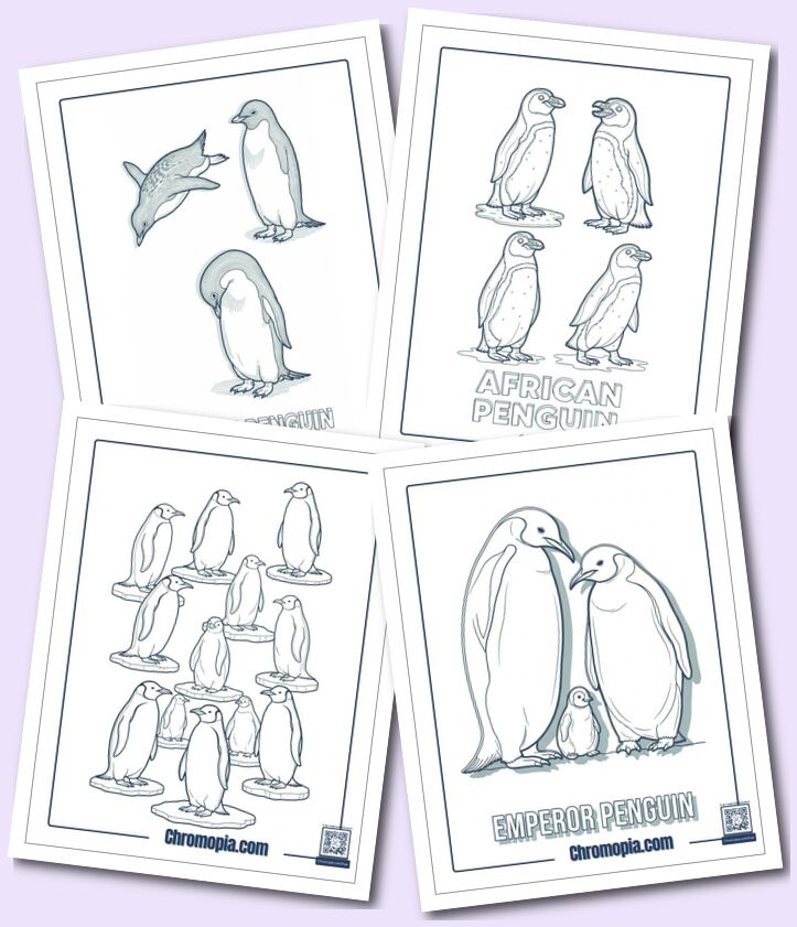 All Penguin Species Coloring Pages