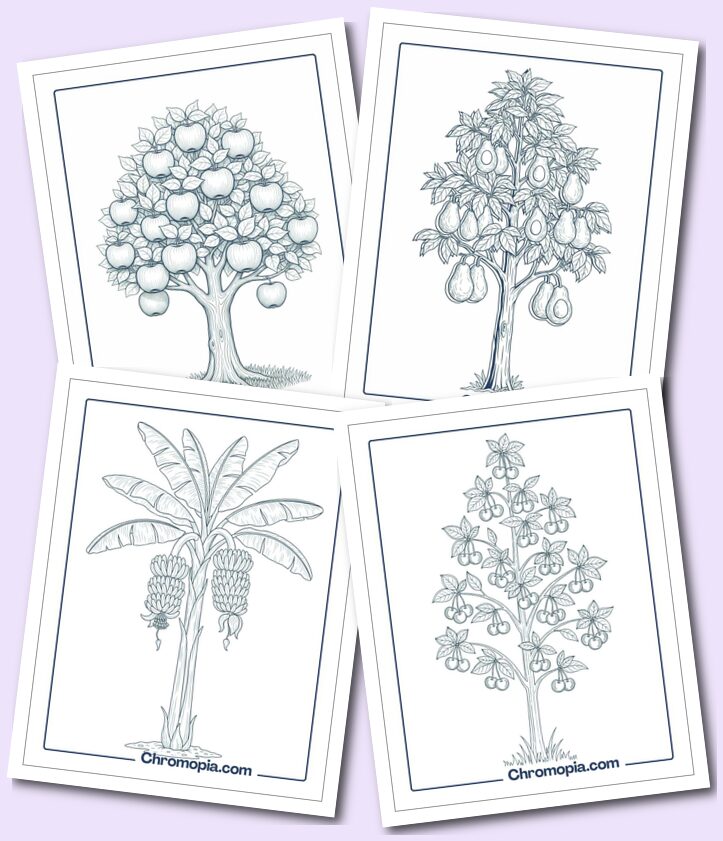 Beautiful Fruit Tree Coloring Pages for Kids to Adults