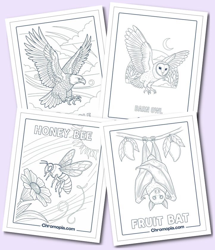 Birds & Flying Creatures Coloring pages
