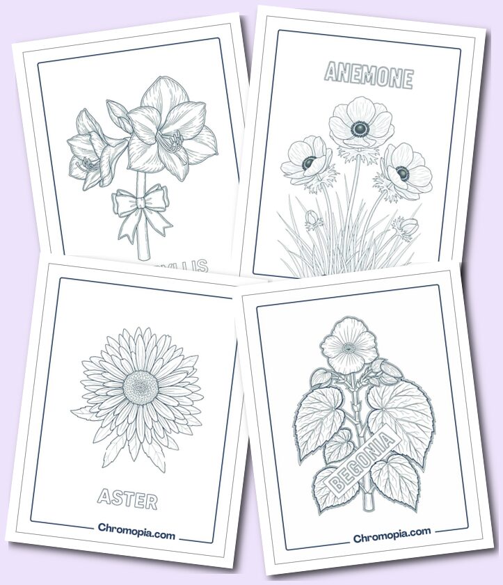 Categories of Flower species coloring pages For All Ages