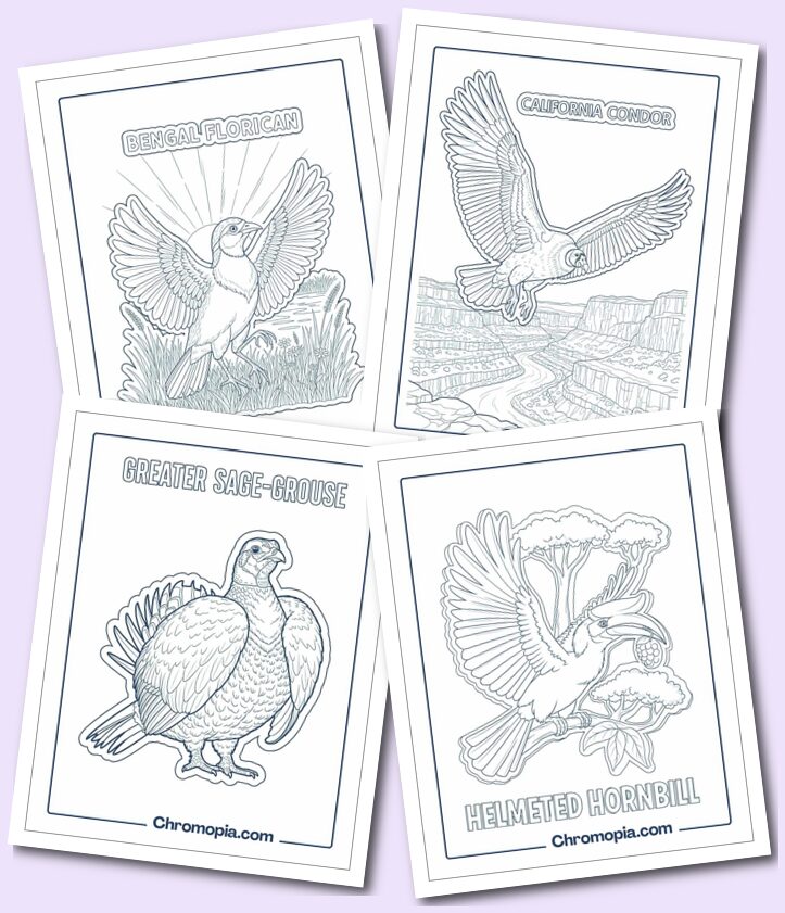 Endangered Birds Coloring Pages