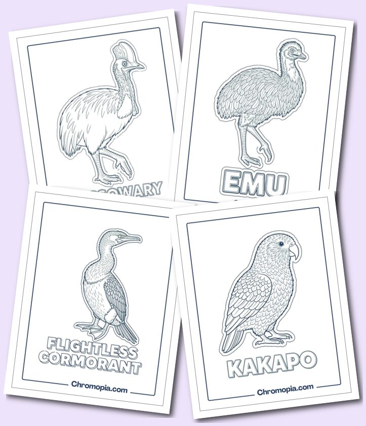 Flightless Birds Coloring Pages