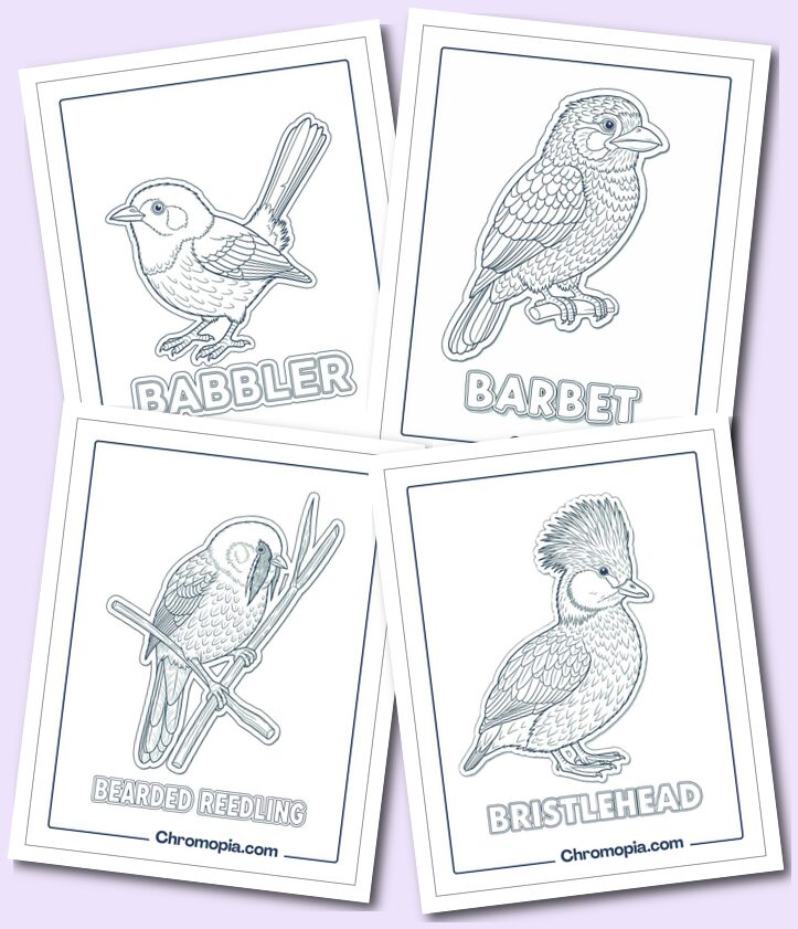 Forest & Woodland Birds Coloring Pages