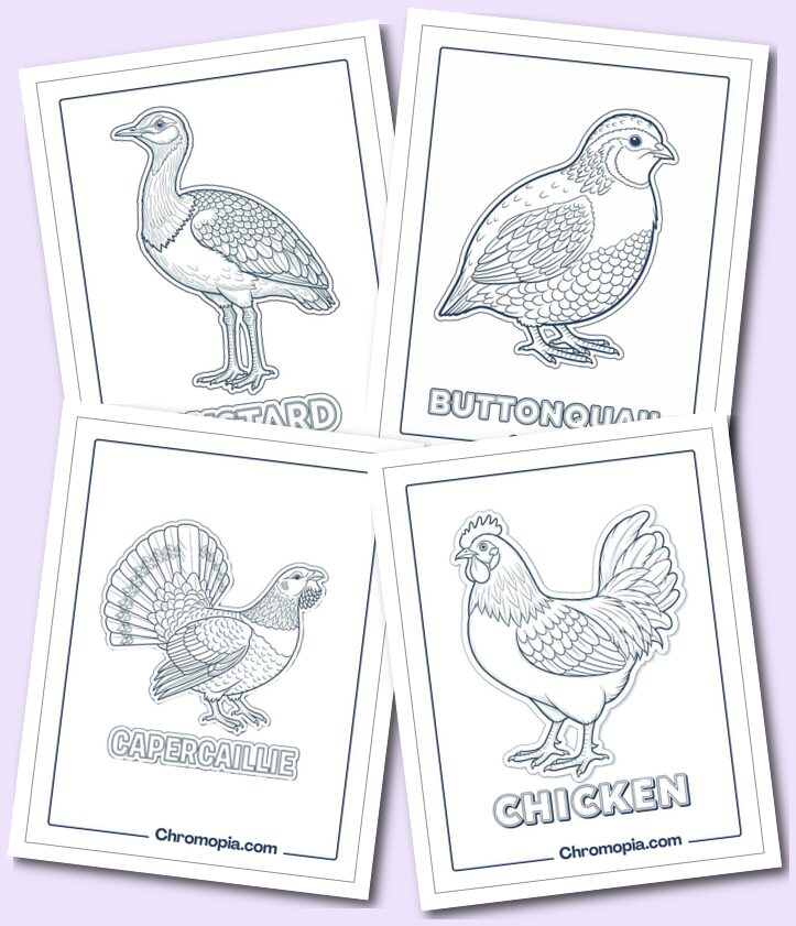 Game Birds & Ground Birds Coloring Pages