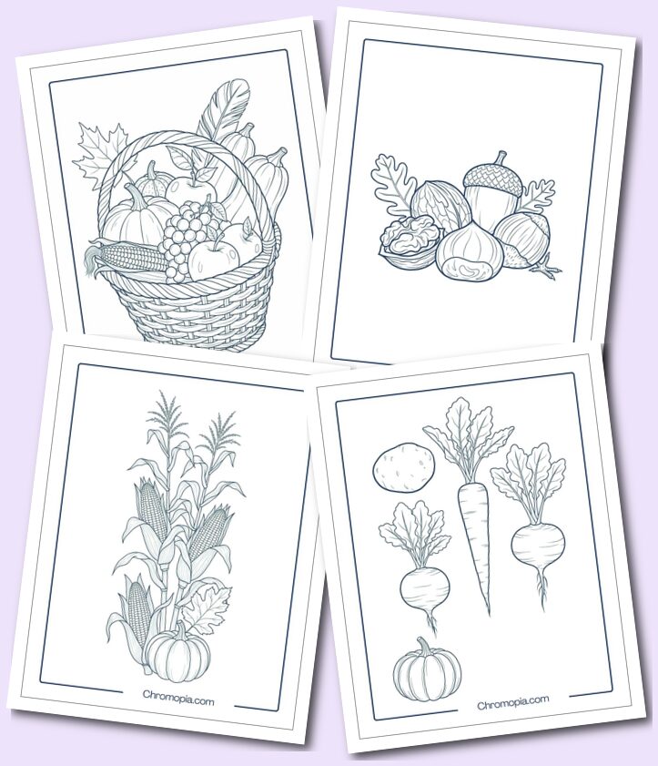 Moderate Harvest Coloring Pages for Elementary Kids