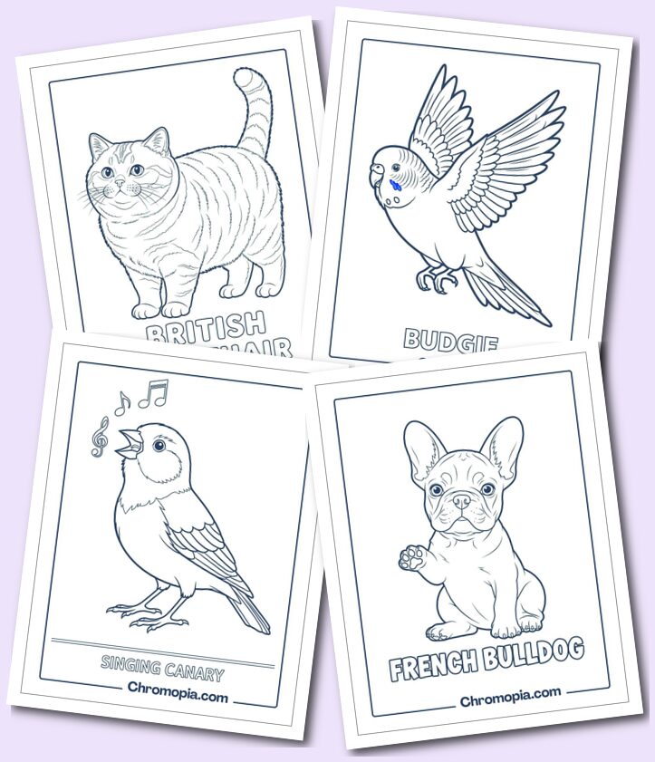 Pet Animals Coloring pages For Kids & Tweens