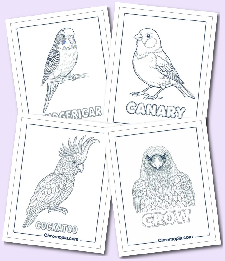 Popular & iconic birds coloring pages