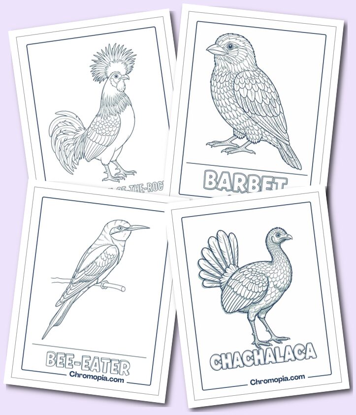 Tropical & Exotic Birds Coloring Pages