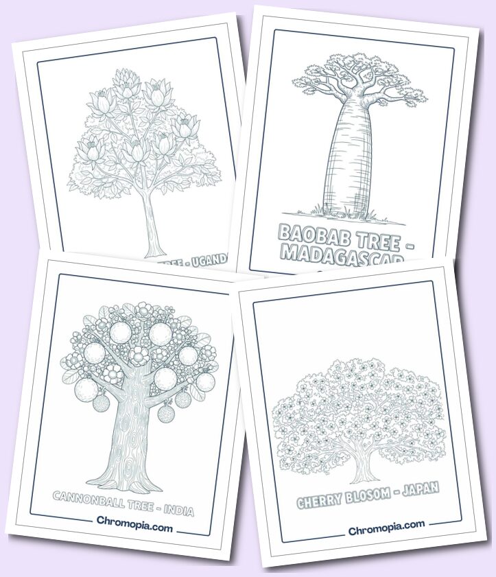 Types of Famous Trees coloring pages