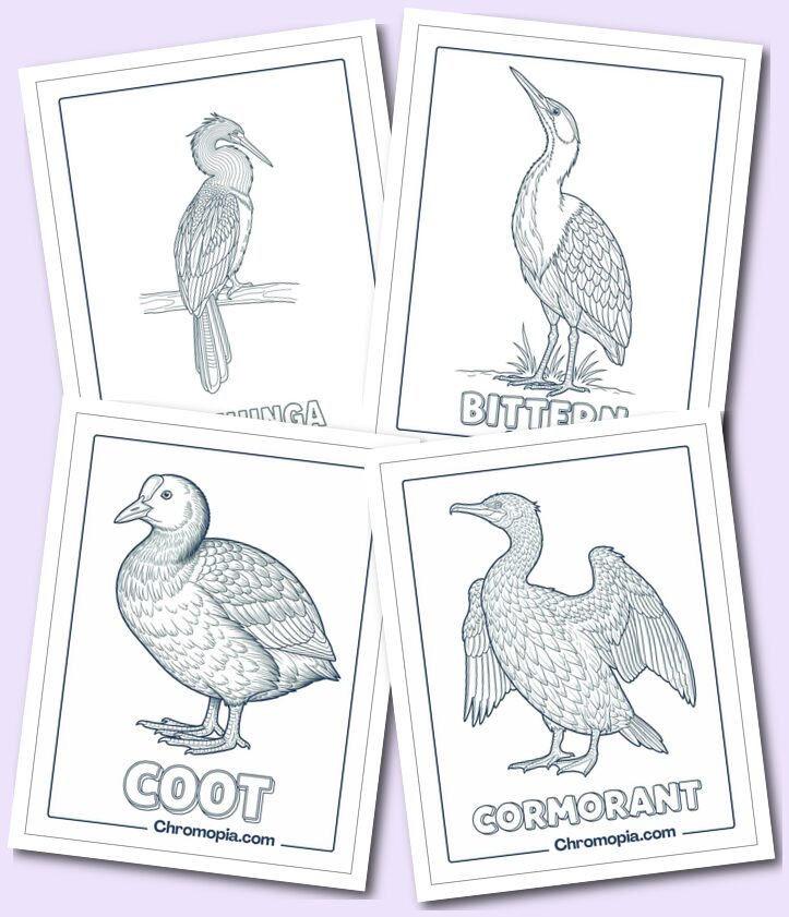 Waterfowl & Wetland Birds Coloring Pages
