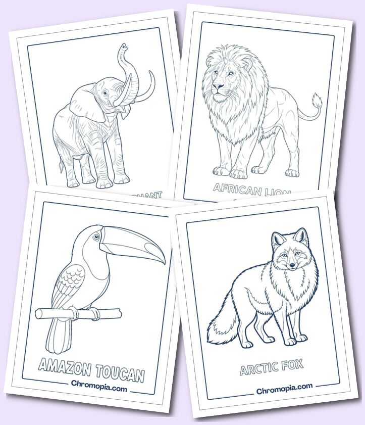Wild Animals Coloring pages Kids and Teens