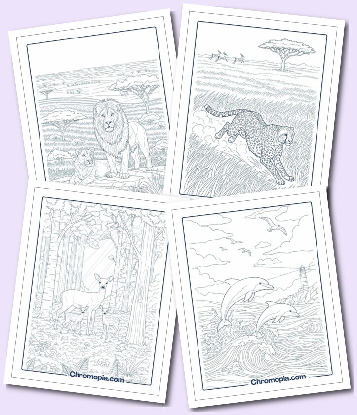 Wild Wonders – Animals in Their Natural Habitats coloring pages